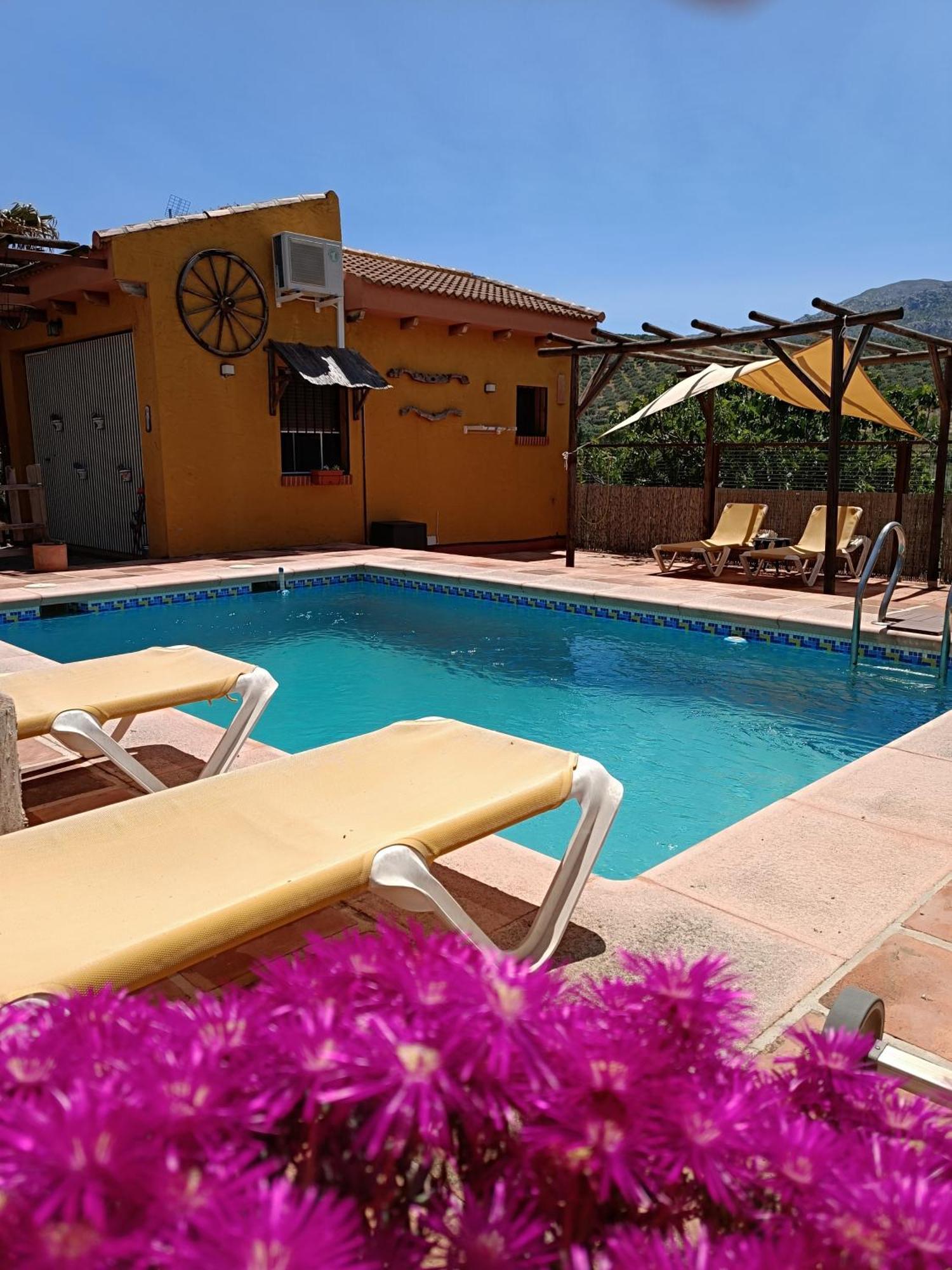 Bed and Breakfast Cortijo Petra Villanueva del Rosario Екстер'єр фото